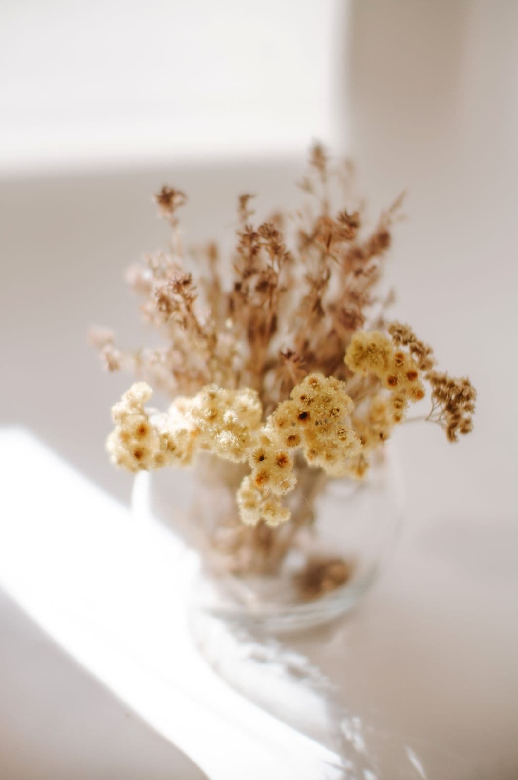 Flores secas en un frasco de vidrio, con luz de ventana