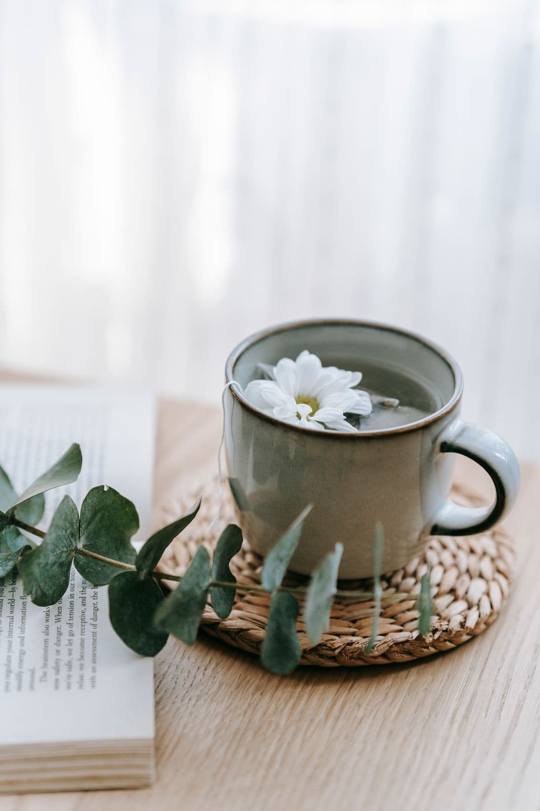 Taza de infusión con flores de manzanilla